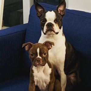 Meet your Posher, James